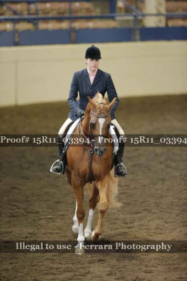 Proof 15R11_03394