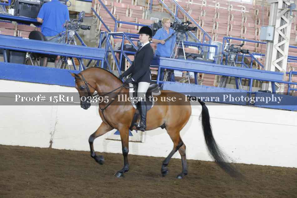 Proof 15R11_03395