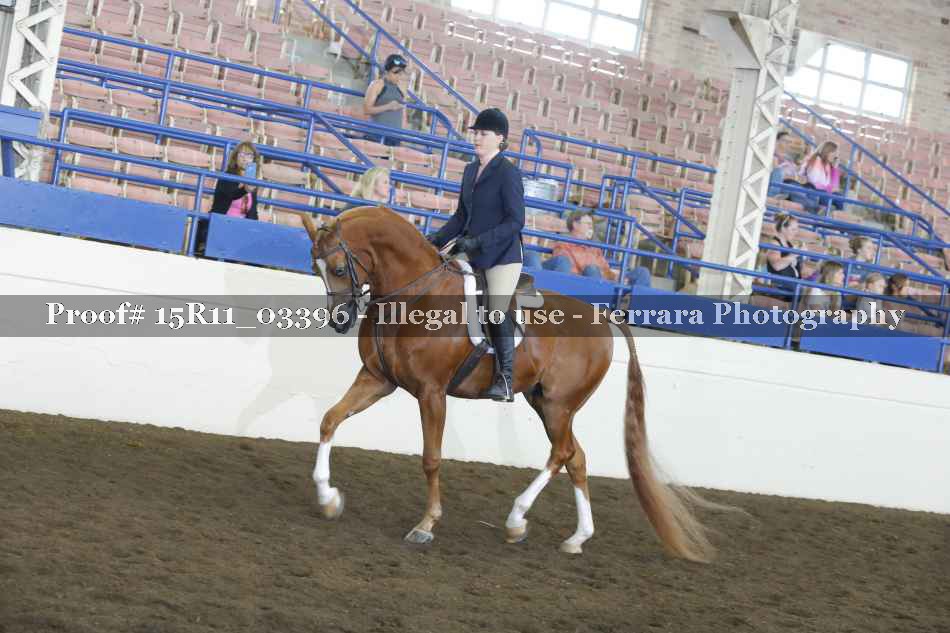 Proof 15R11_03396