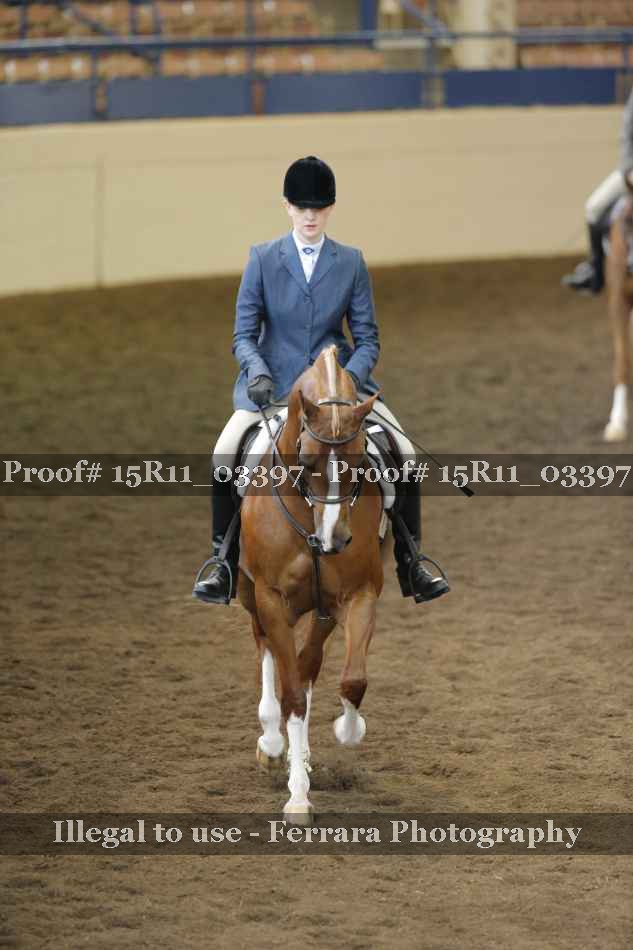 Proof 15R11_03397