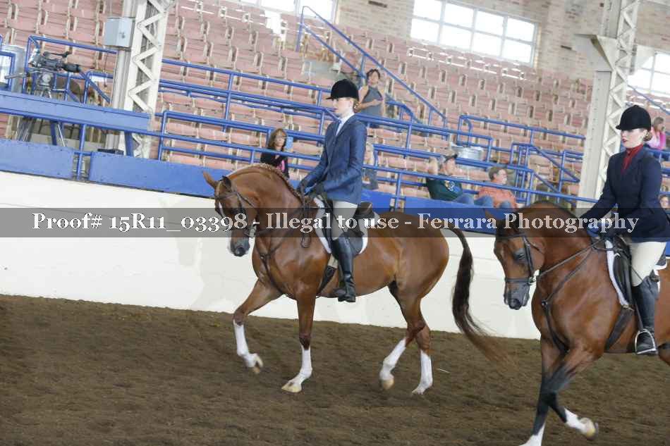 Proof 15R11_03398