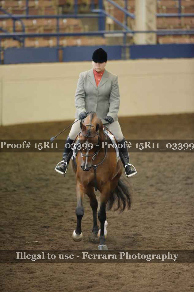 Proof 15R11_03399