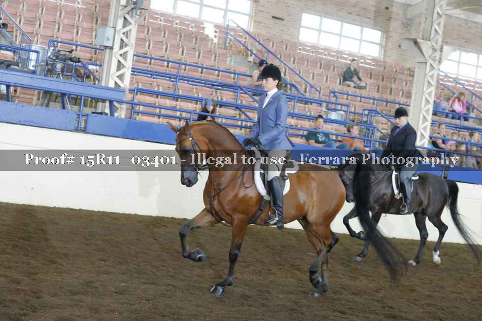 Proof 15R11_03401