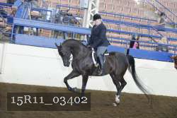 15R11_03402 proof