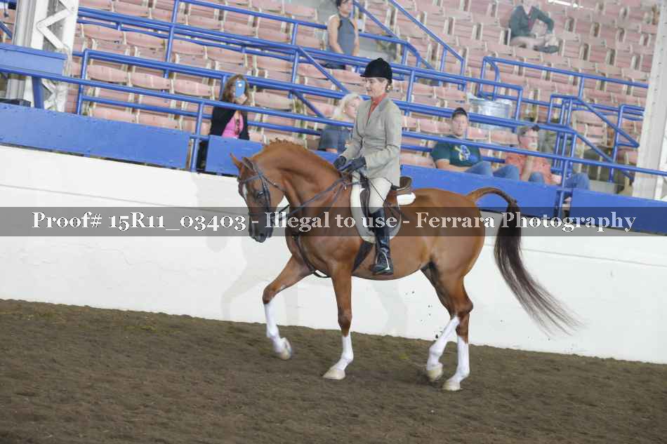 Proof 15R11_03403