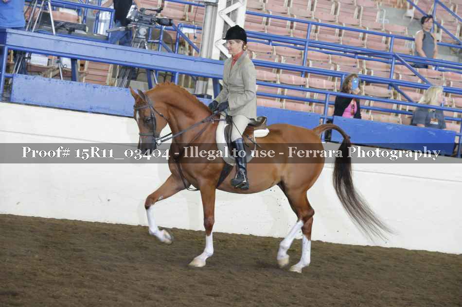 Proof 15R11_03404