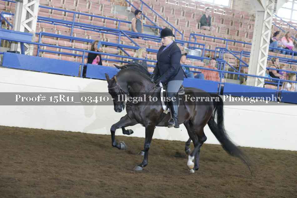 Proof 15R11_03410