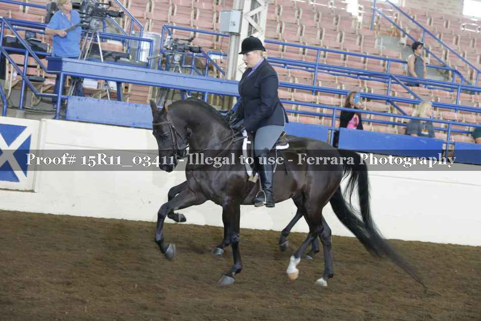 Proof 15R11_03411