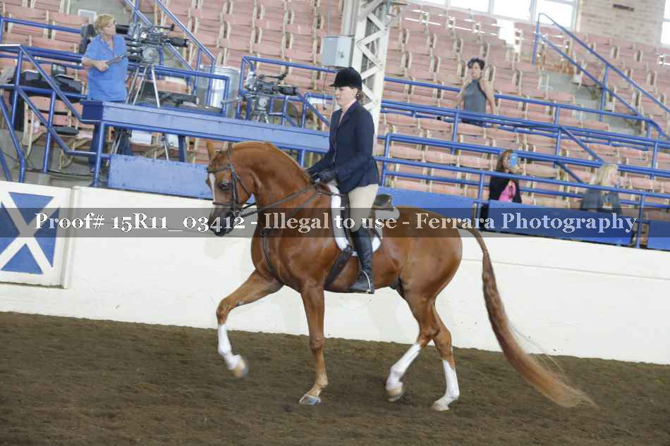 Proof 15R11_03412