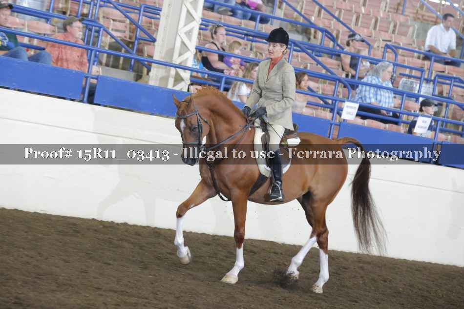 Proof 15R11_03413