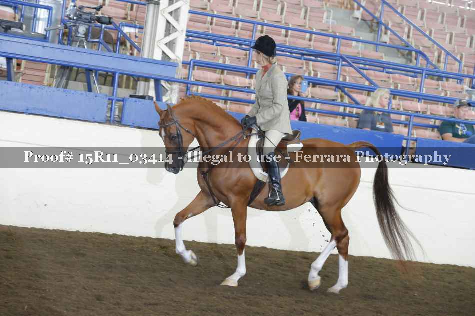 Proof 15R11_03414