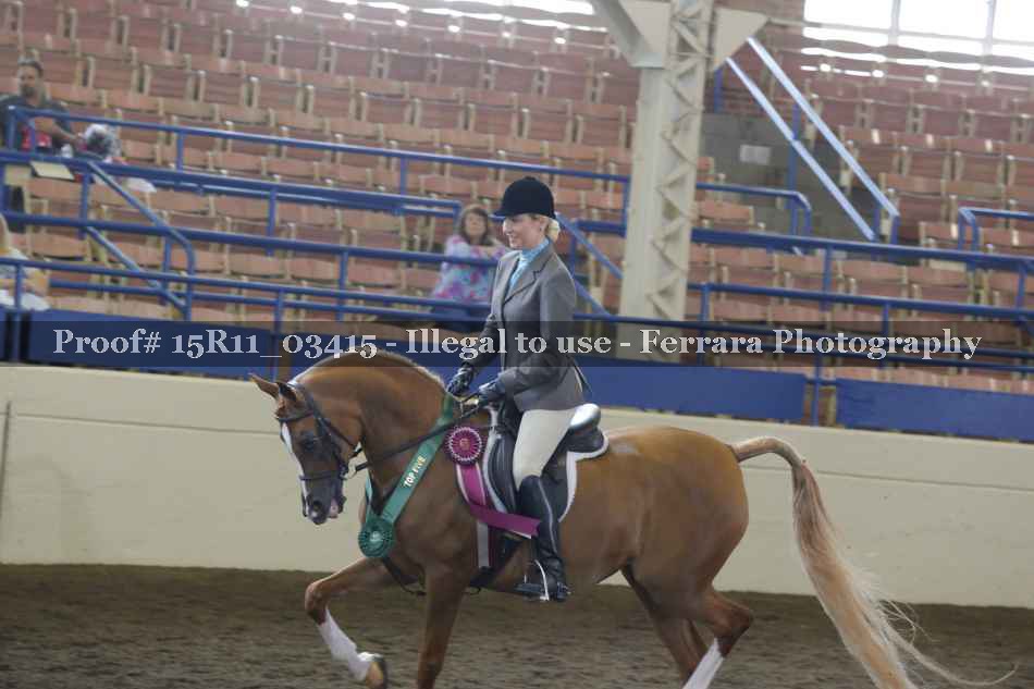 Proof 15R11_03415