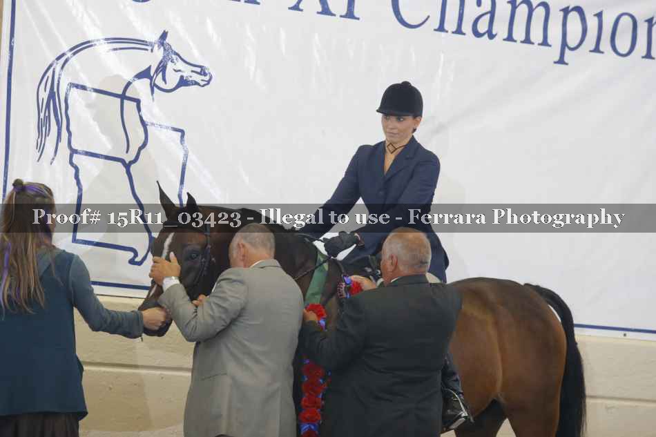 Proof 15R11_03423