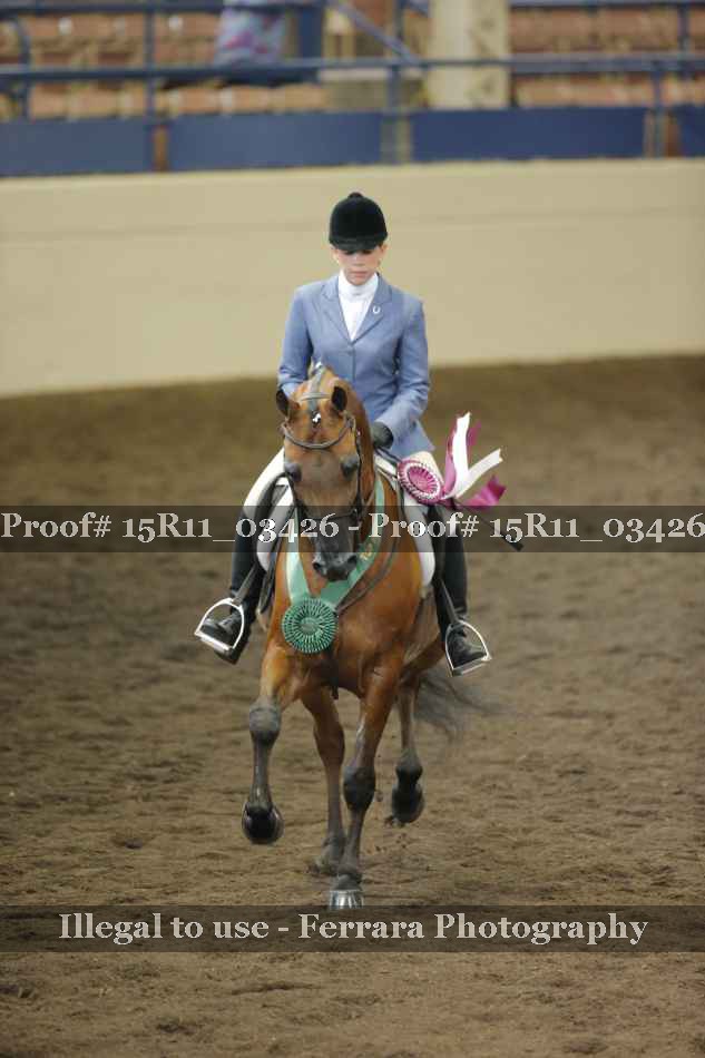 Proof 15R11_03426