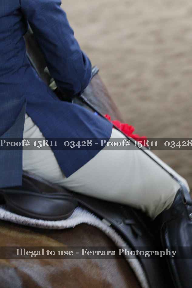 Proof 15R11_03428