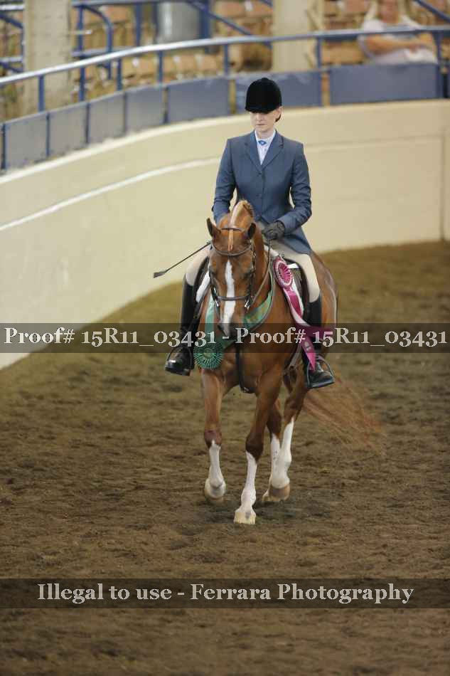 Proof 15R11_03431