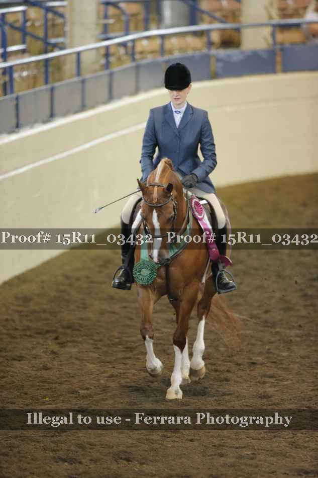 Proof 15R11_03432