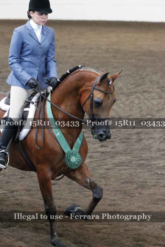 Proof 15R11_03433