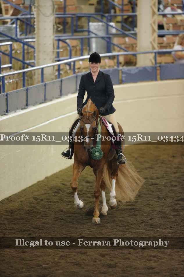 Proof 15R11_03434