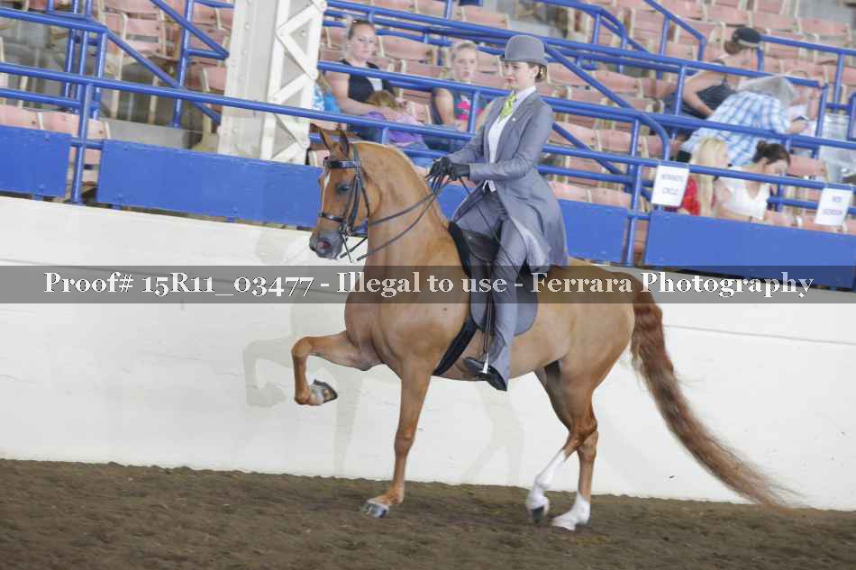 Proof 15R11_03477