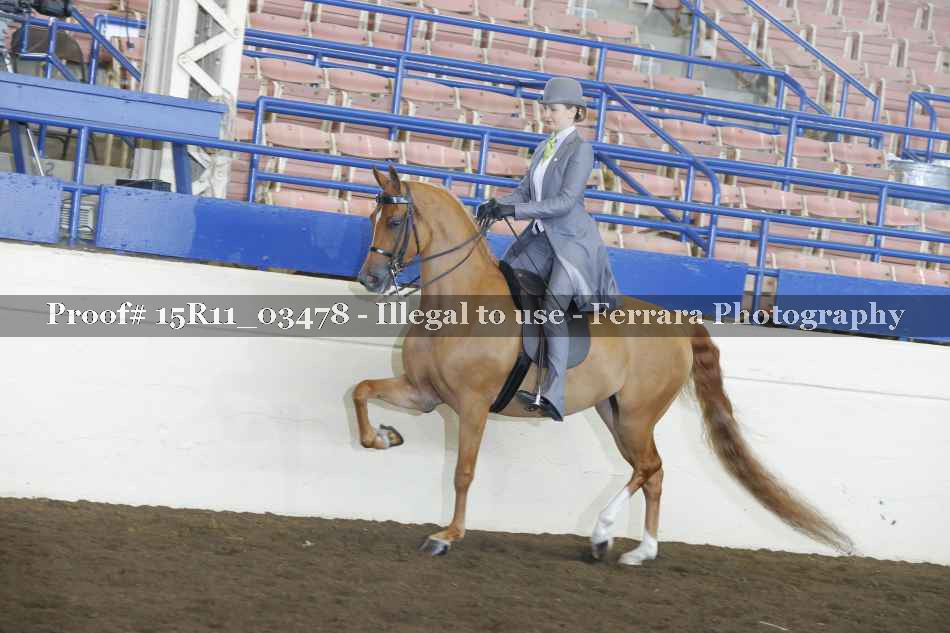 Proof 15R11_03478