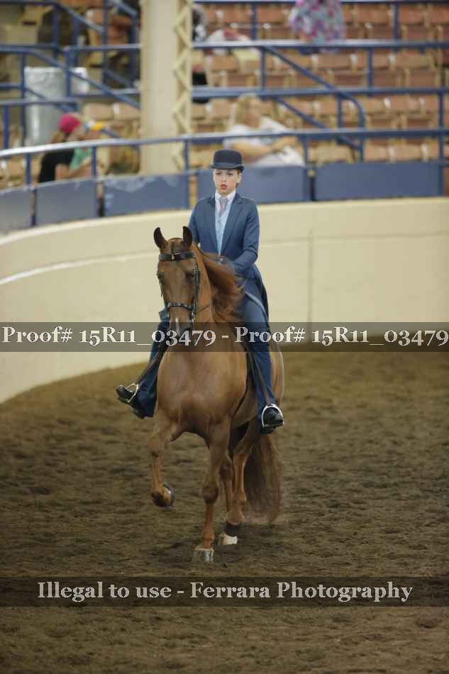 Proof 15R11_03479