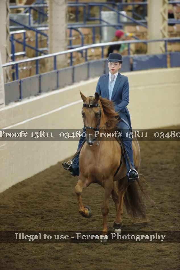 Proof 15R11_03480
