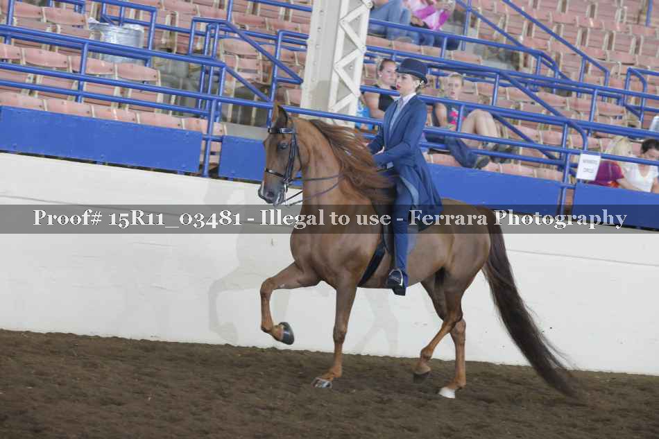 Proof 15R11_03481