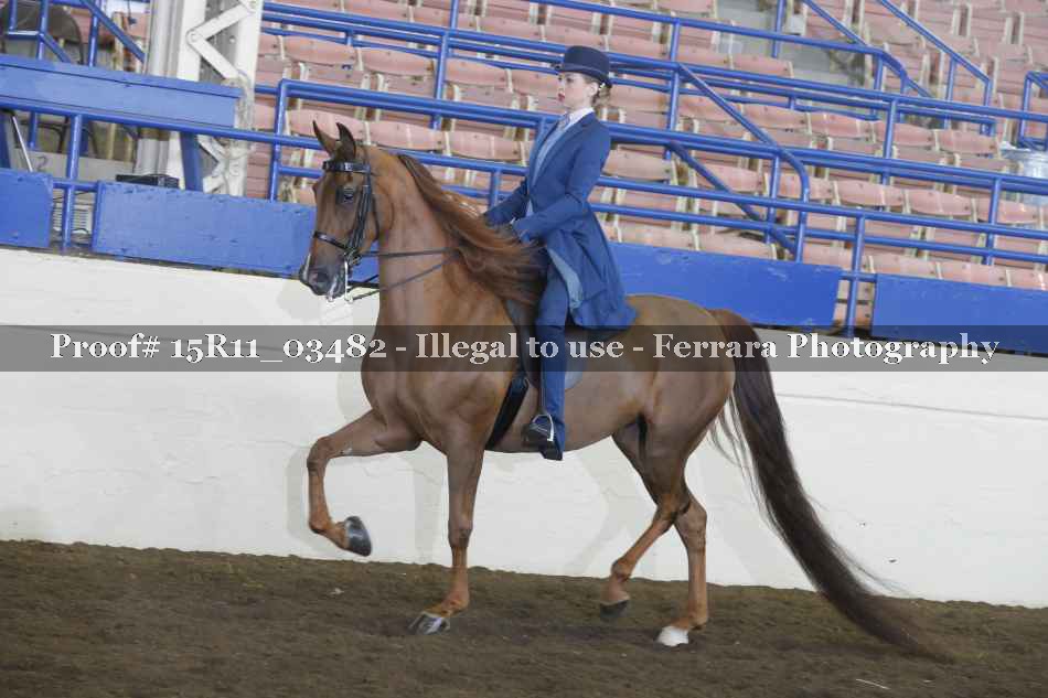 Proof 15R11_03482
