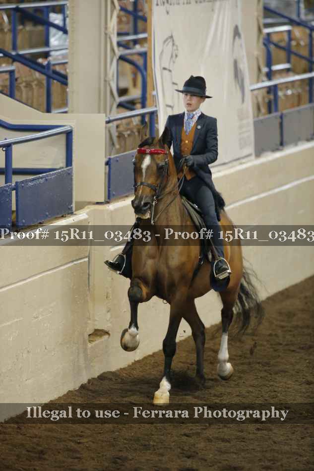 Proof 15R11_03483