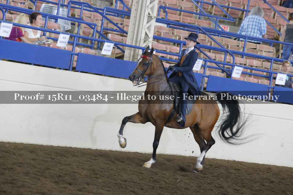 Proof 15R11_03484