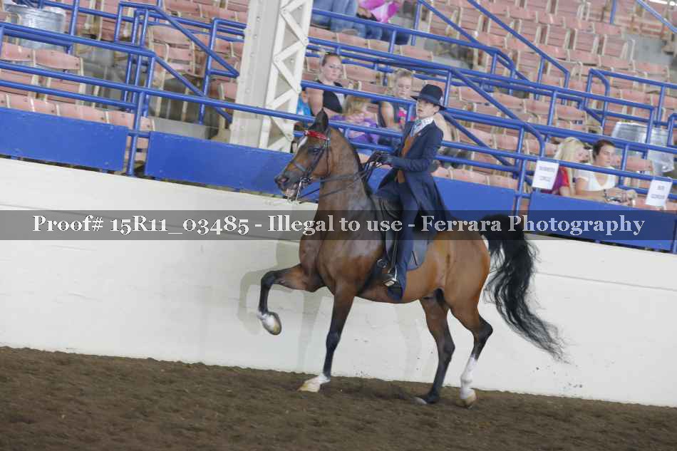 Proof 15R11_03485
