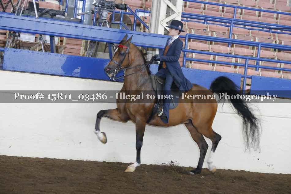Proof 15R11_03486