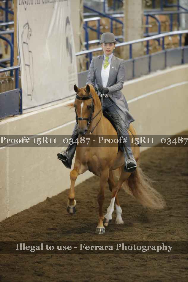 Proof 15R11_03487