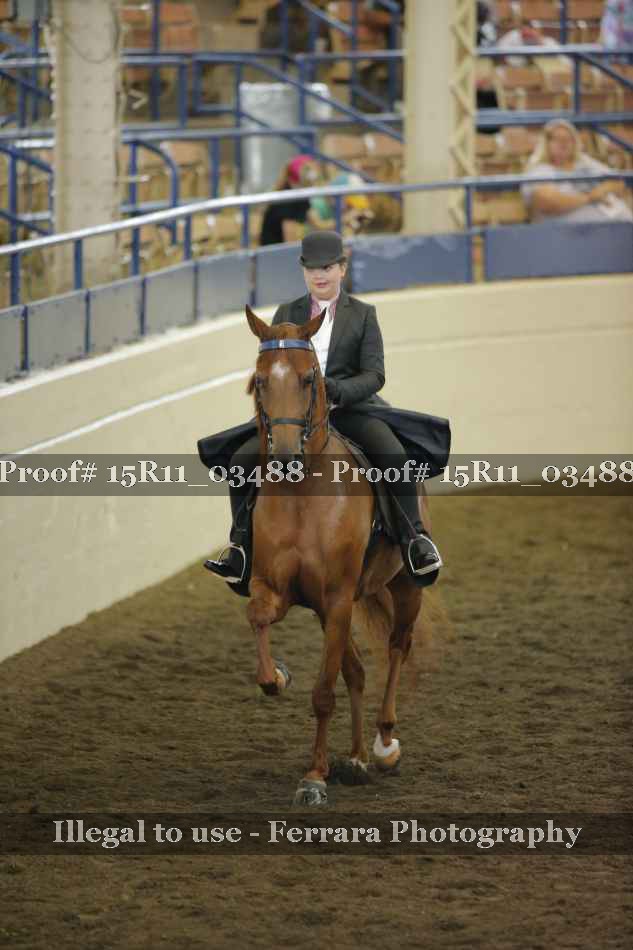 Proof 15R11_03488