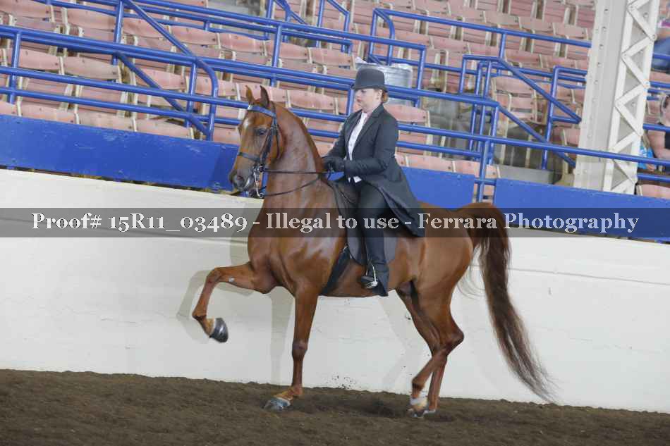 Proof 15R11_03489