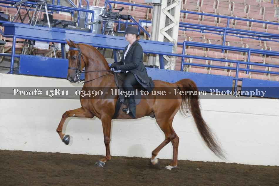 Proof 15R11_03490