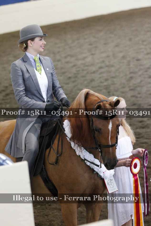 Proof 15R11_03491