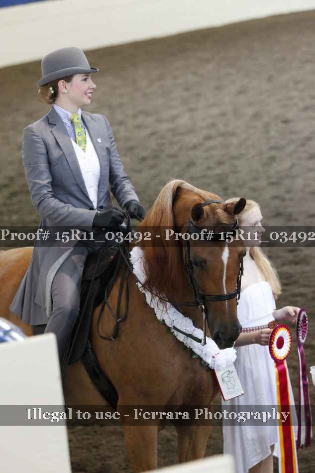 Proof 15R11_03492