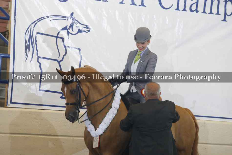 Proof 15R11_03496