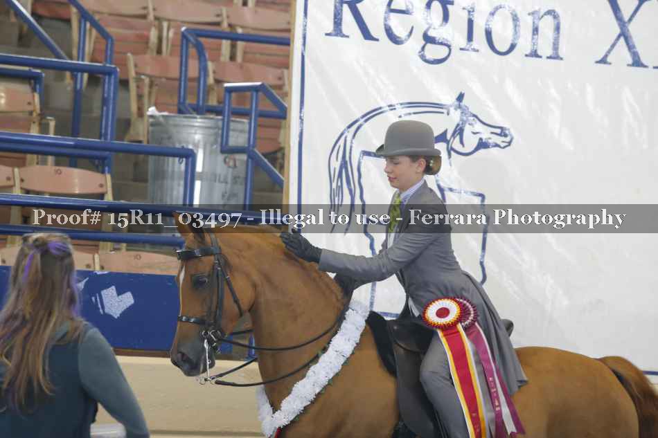 Proof 15R11_03497
