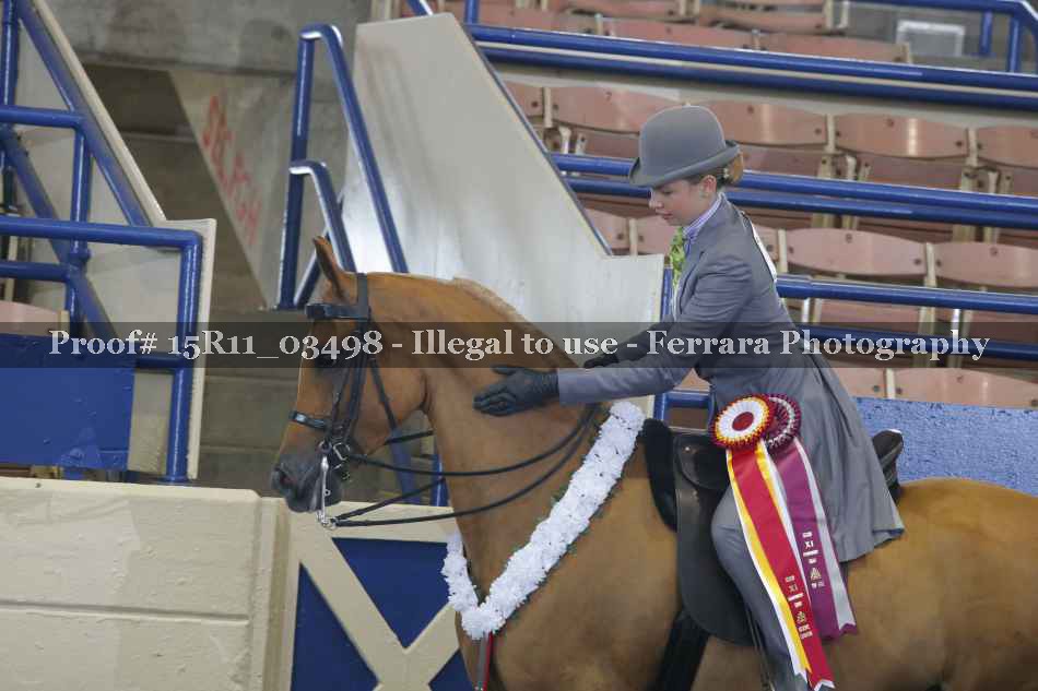 Proof 15R11_03498