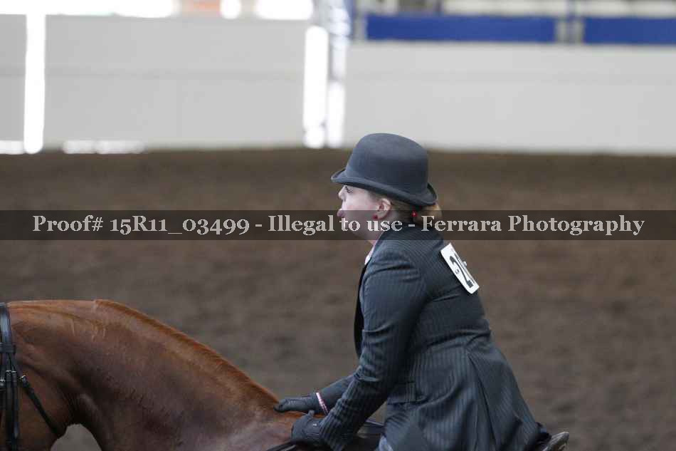 Proof 15R11_03499