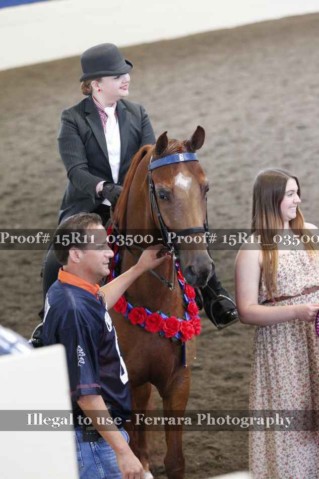Proof 15R11_03500