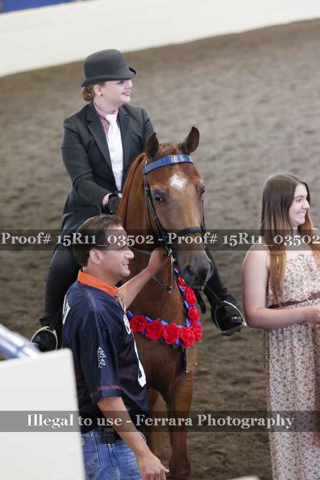 Proof 15R11_03502