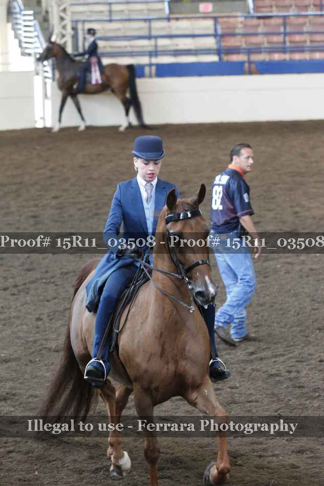 Proof 15R11_03508