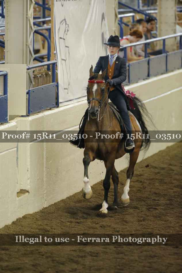 Proof 15R11_03510