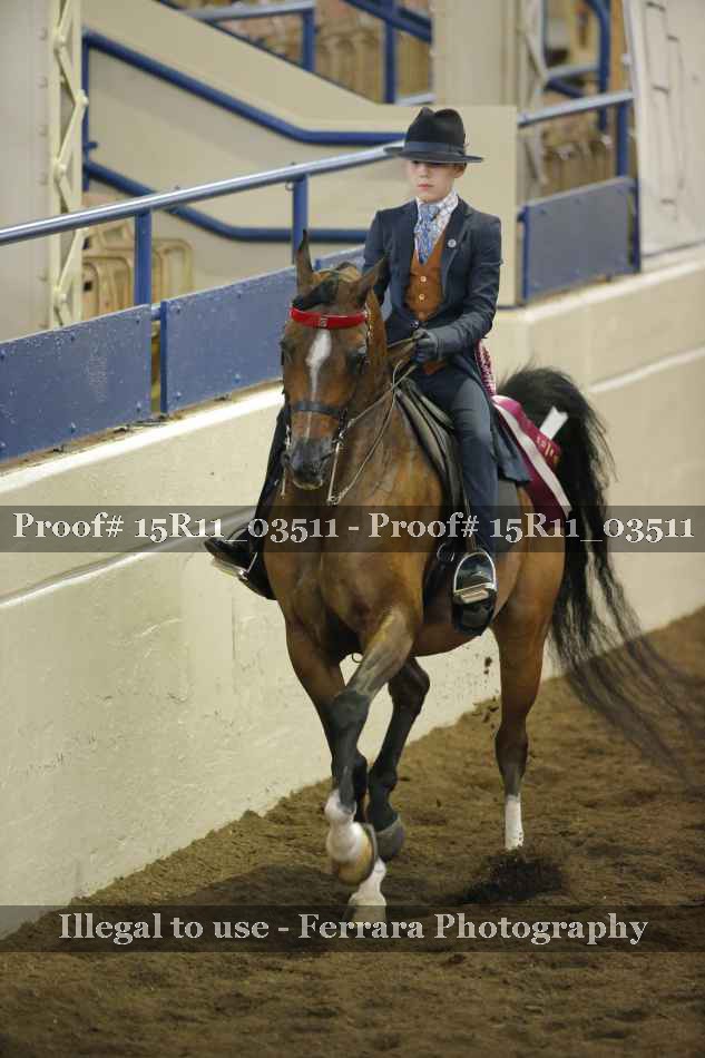 Proof 15R11_03511