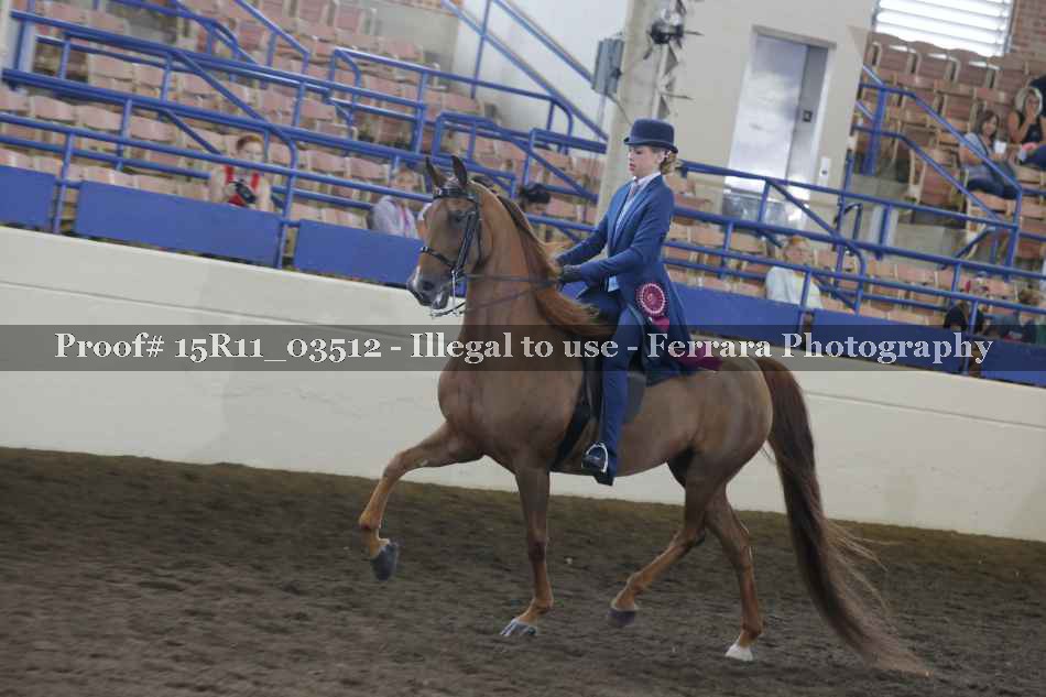 Proof 15R11_03512
