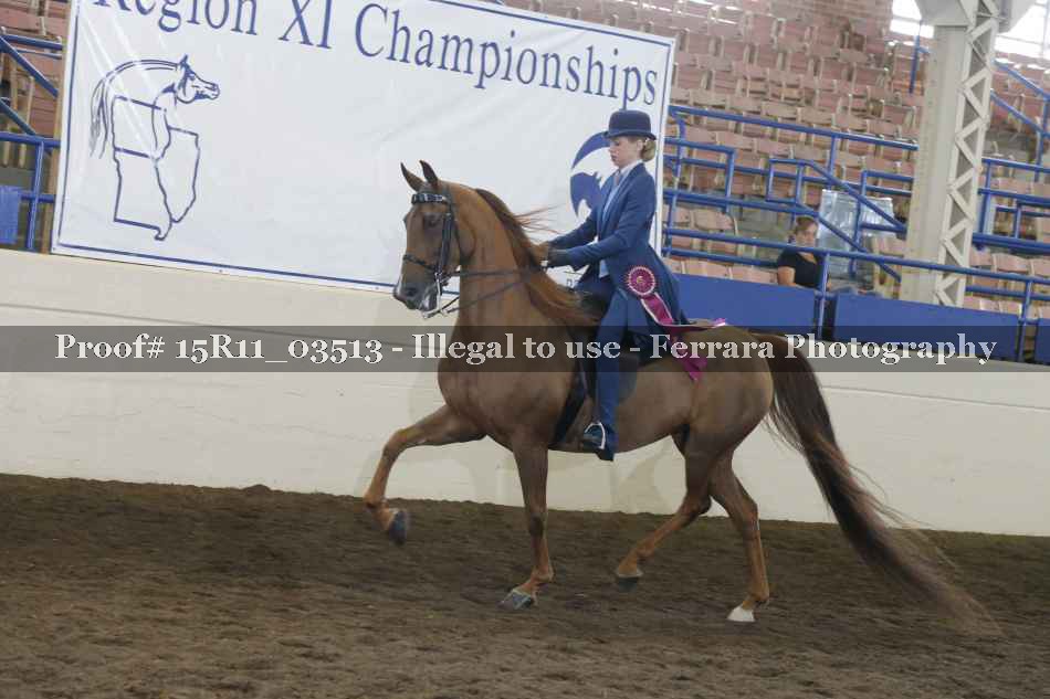 Proof 15R11_03513